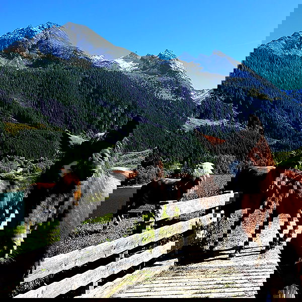 888r0mee image ~ Altpins