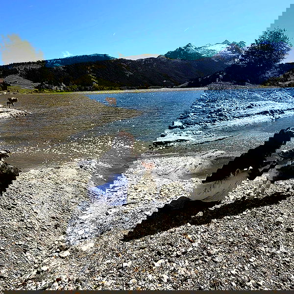 888r0mee image ~ Altpins