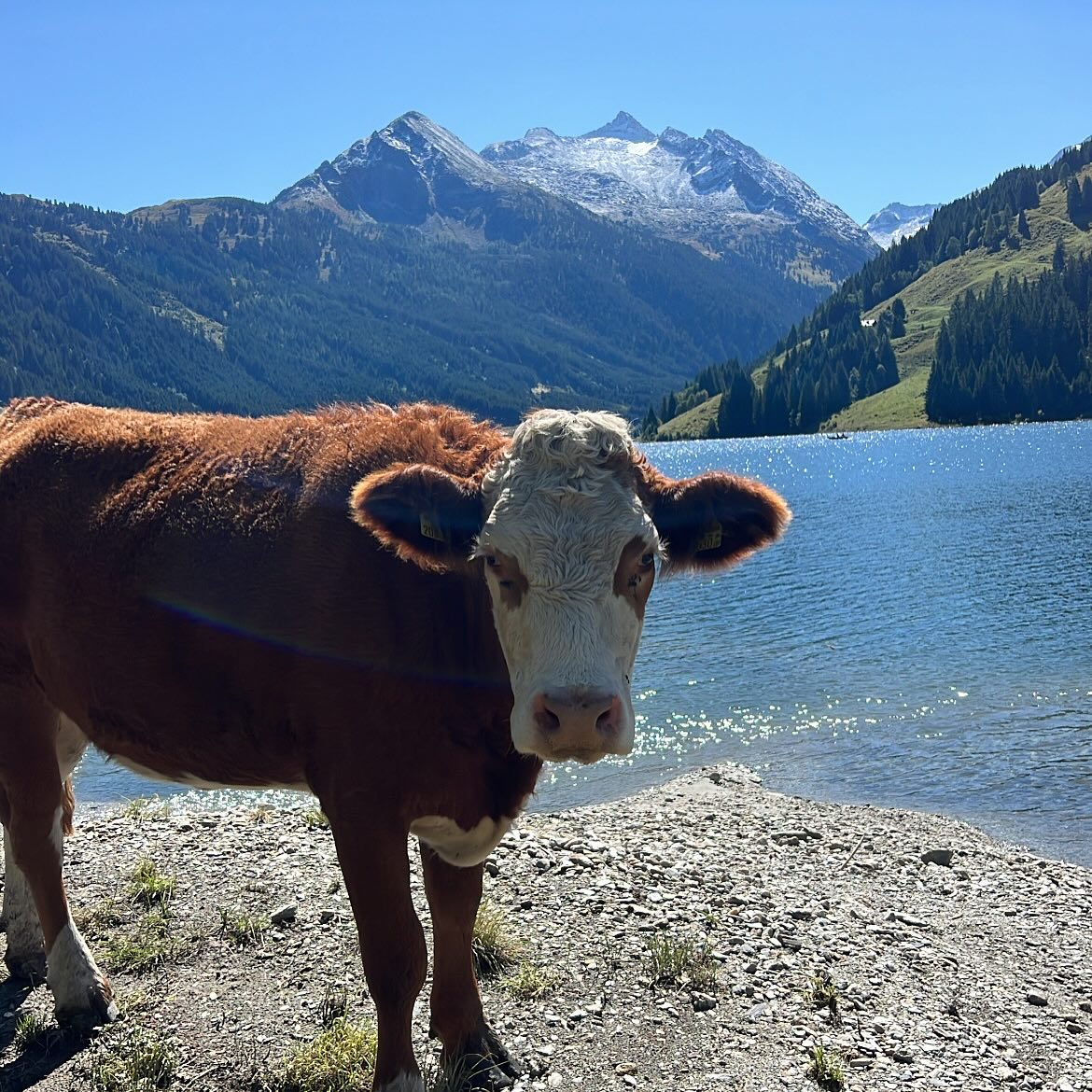 888r0mee instagram image archive image