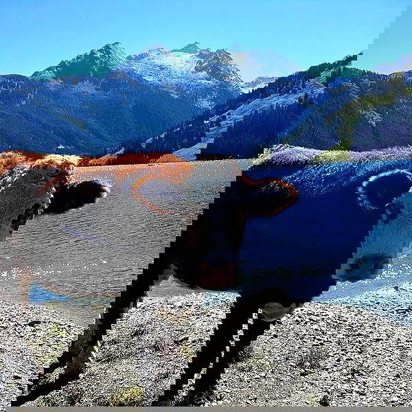 888r0mee image ~ Altpins