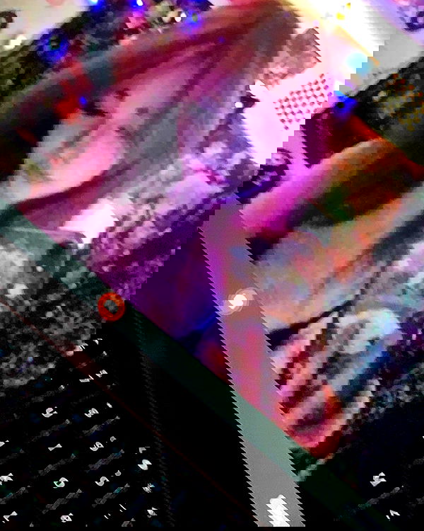 9bitez 9bitez archive image