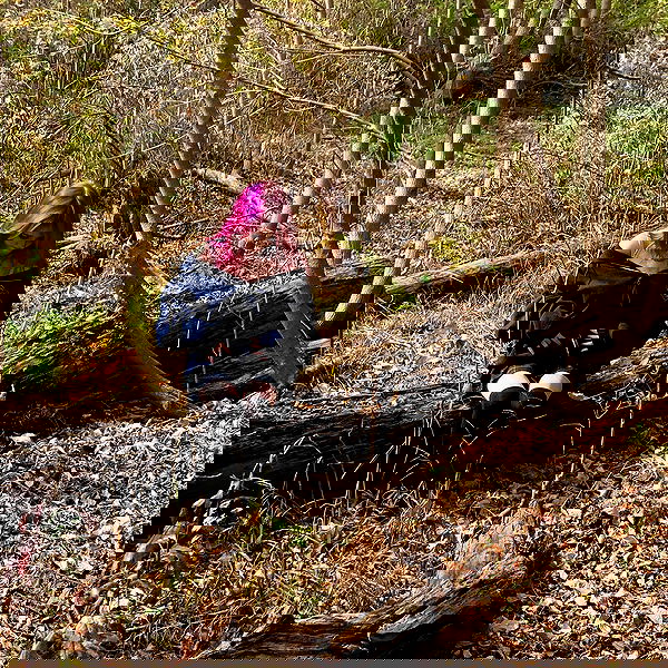 9bitez 9bitez archive image