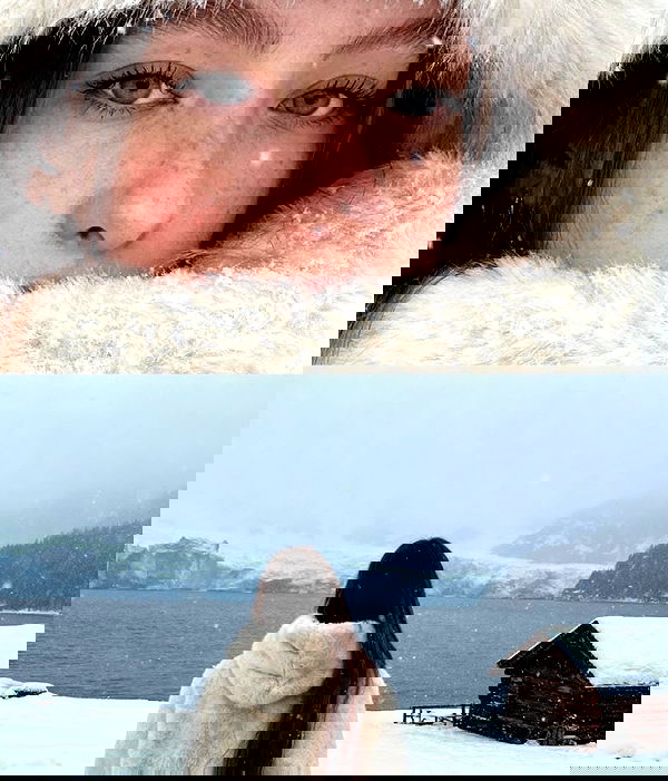 _._dianush._ _._dianush._ archive image