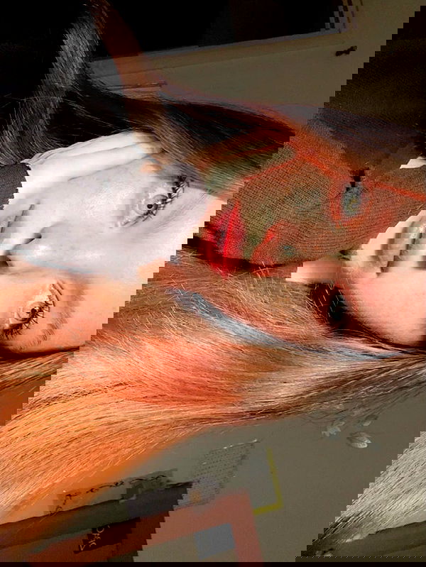 _._dianush._ _._dianush._ archive image