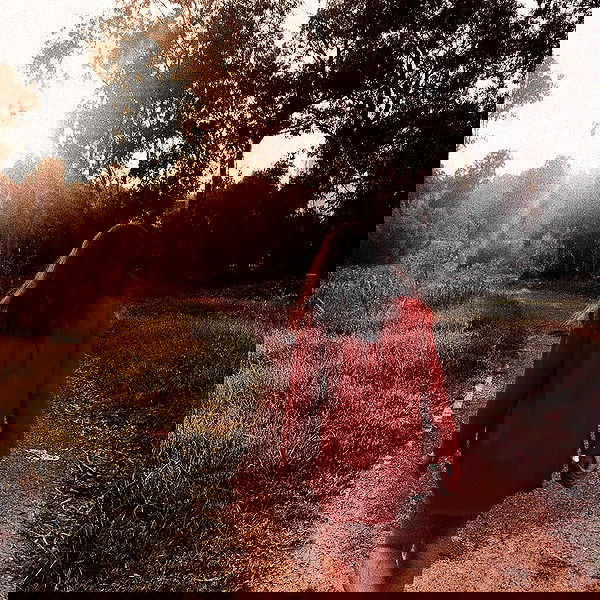 ___shachar image ~ Altpins