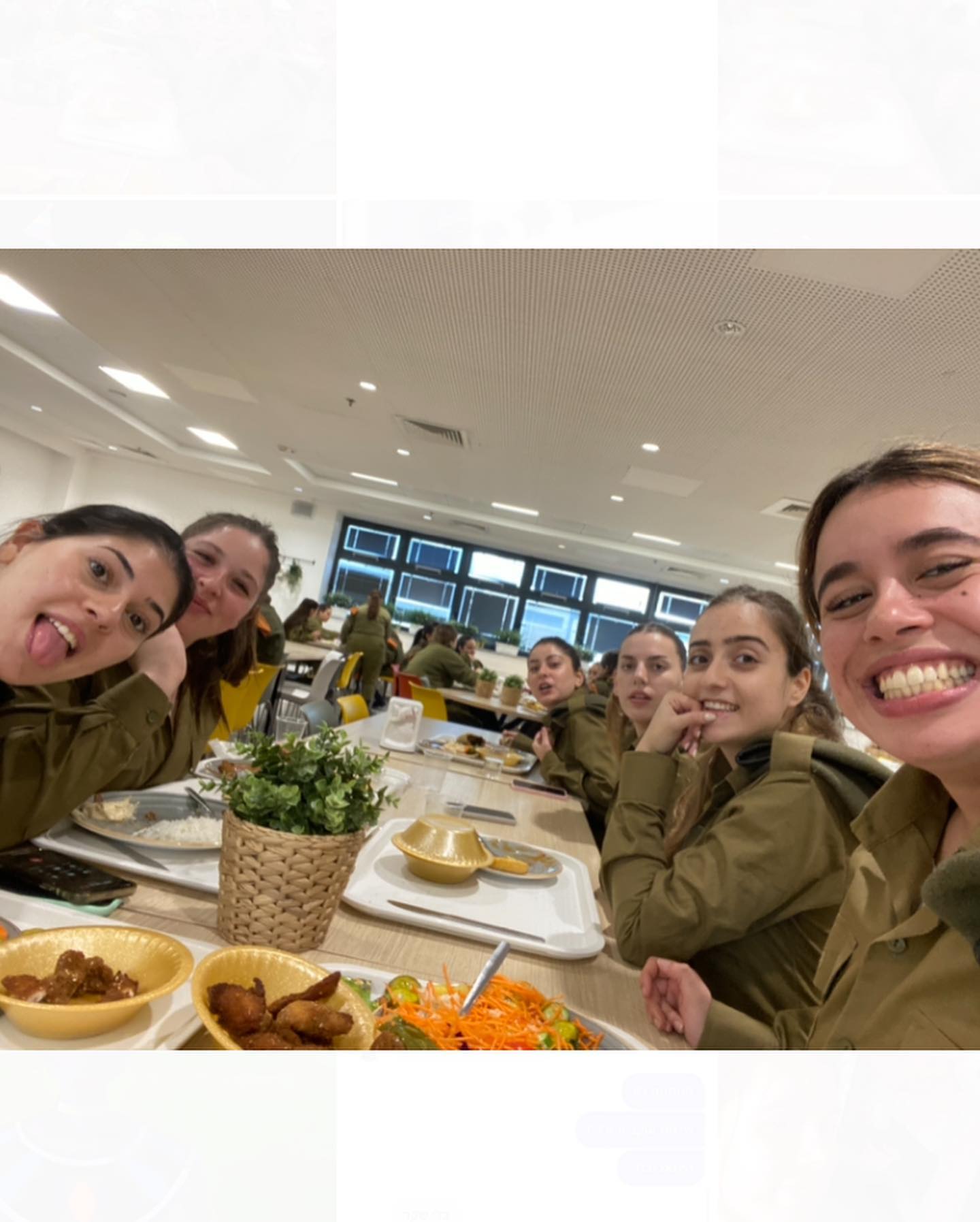 ___shachar instagram image archive image