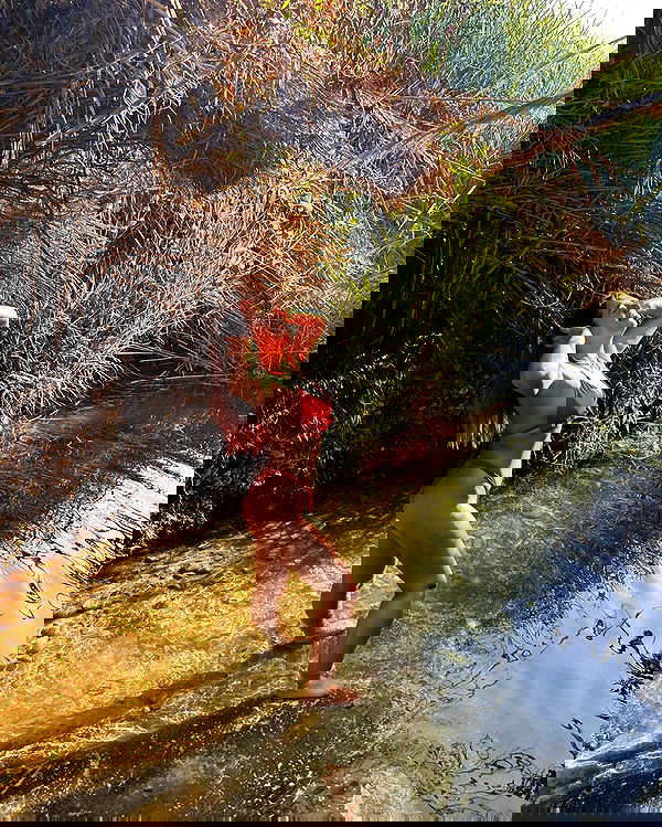 ___shachar image ~ Altpins