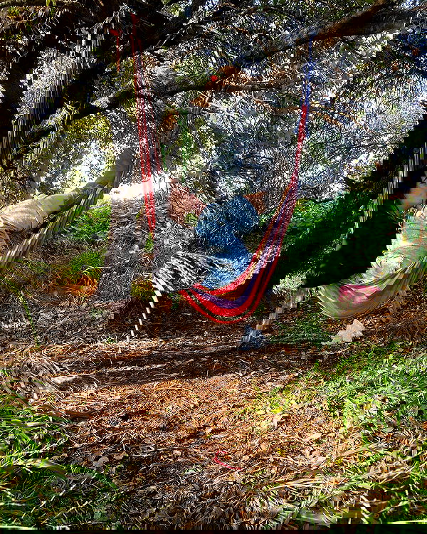 ___shachar image ~ Altpins