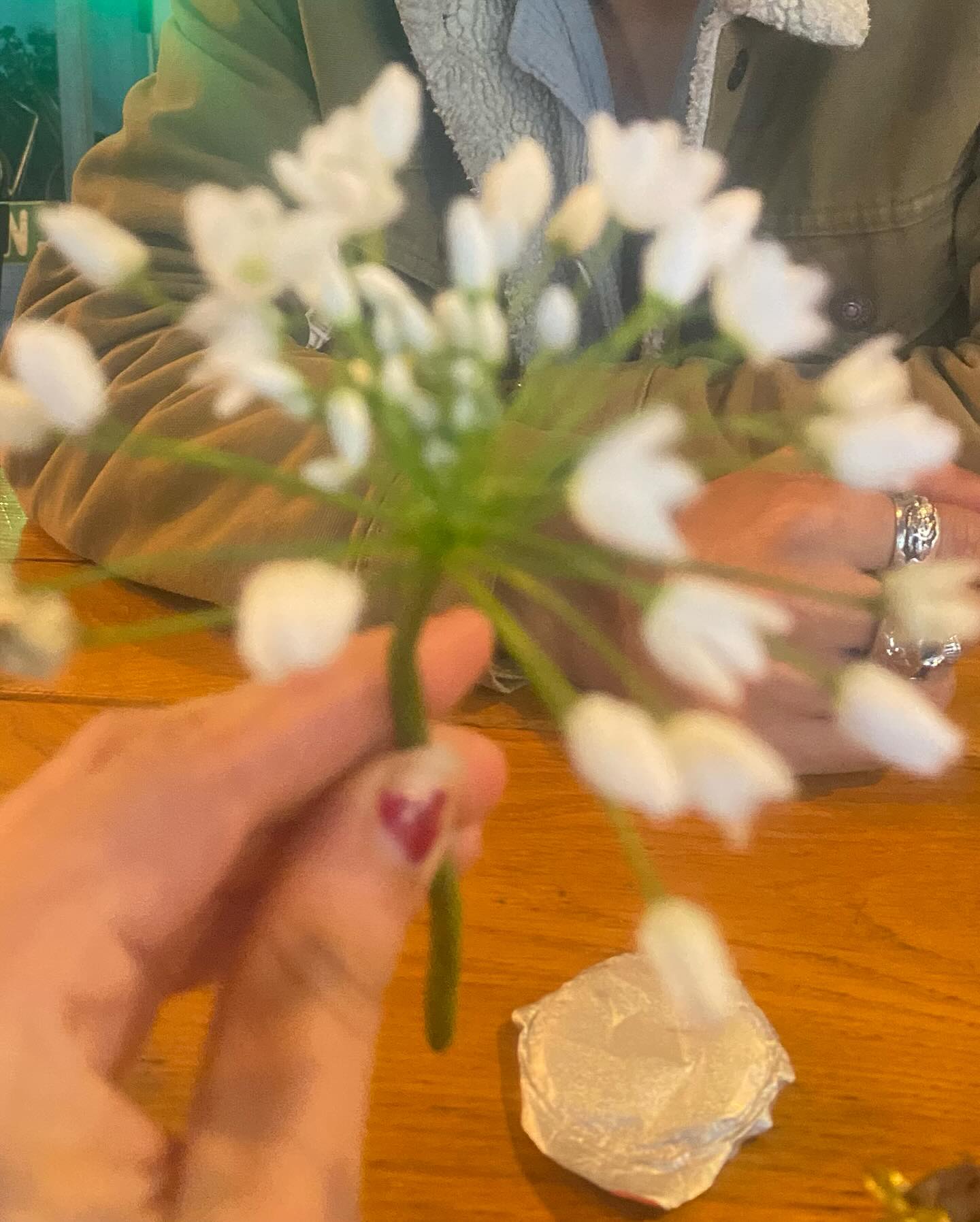 ___shachar instagram image archive image