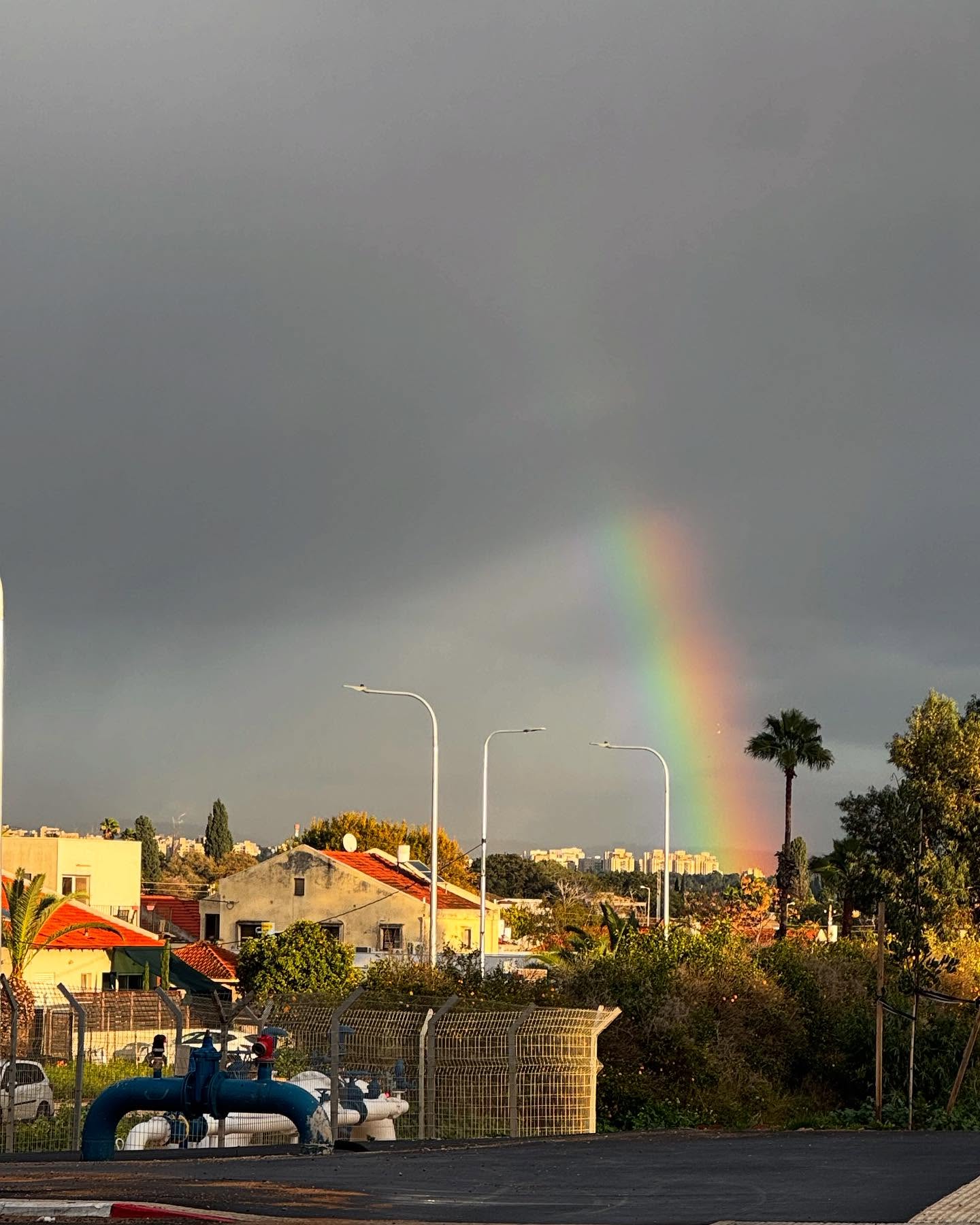 ___shachar instagram image archive image