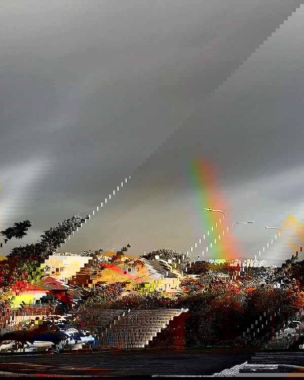 ___shachar image ~ Altpins