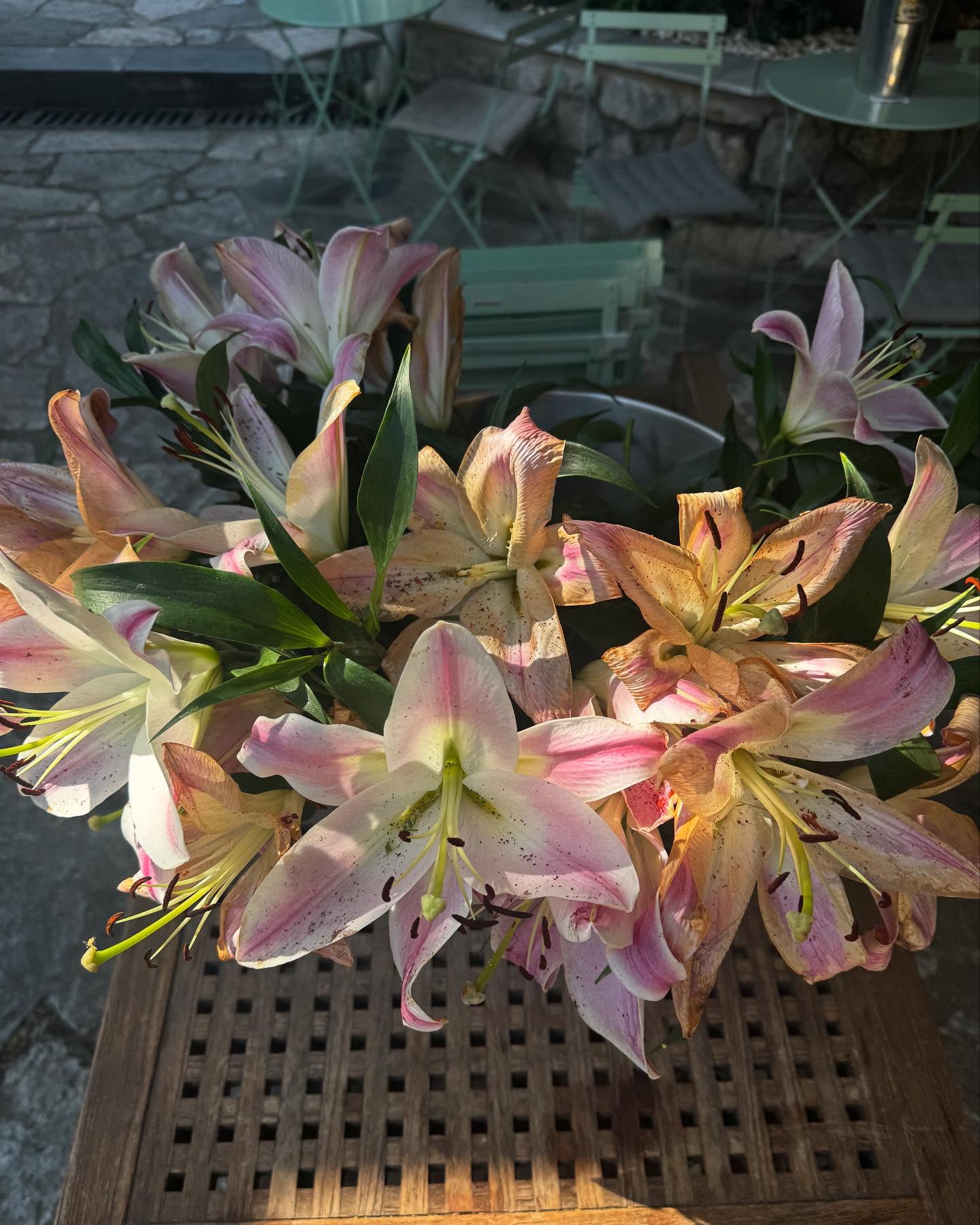 ___shachar instagram image archive image