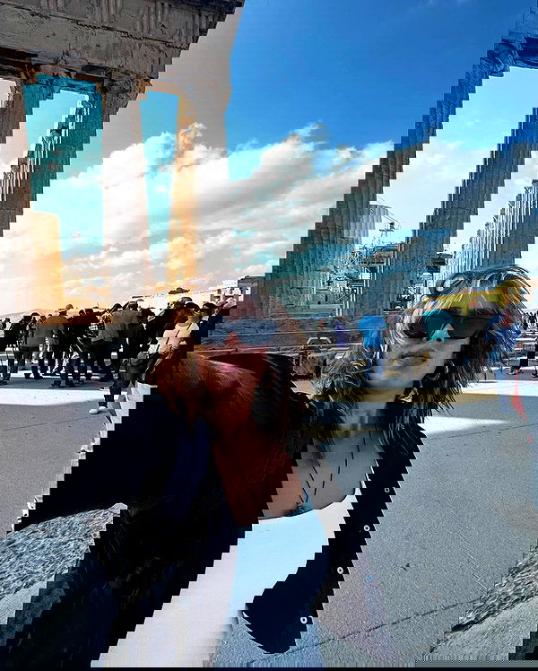 ___shachar image ~ Altpins