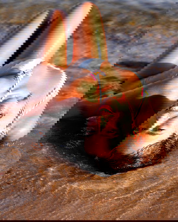 ___shachar image ~ Altpins