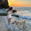 __noycohen__ Altpins Profile Picture