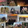 __noycohen__ Altpins Profile Picture