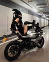 __qq16 Altpins Profile Picture