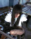 __qq16 Altpins Profile Picture