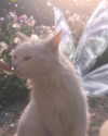 __schleeey Altpins Profile Picture