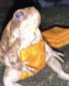 __schleeey Altpins Profile Picture