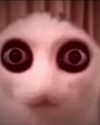 __schleeey Altpins Profile Picture