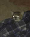 __schleeey Altpins Profile Picture