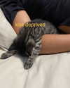 __schleeey Altpins Profile Picture