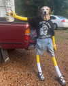 __schleeey Altpins Profile Picture