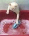 __schleeey Altpins Profile Picture