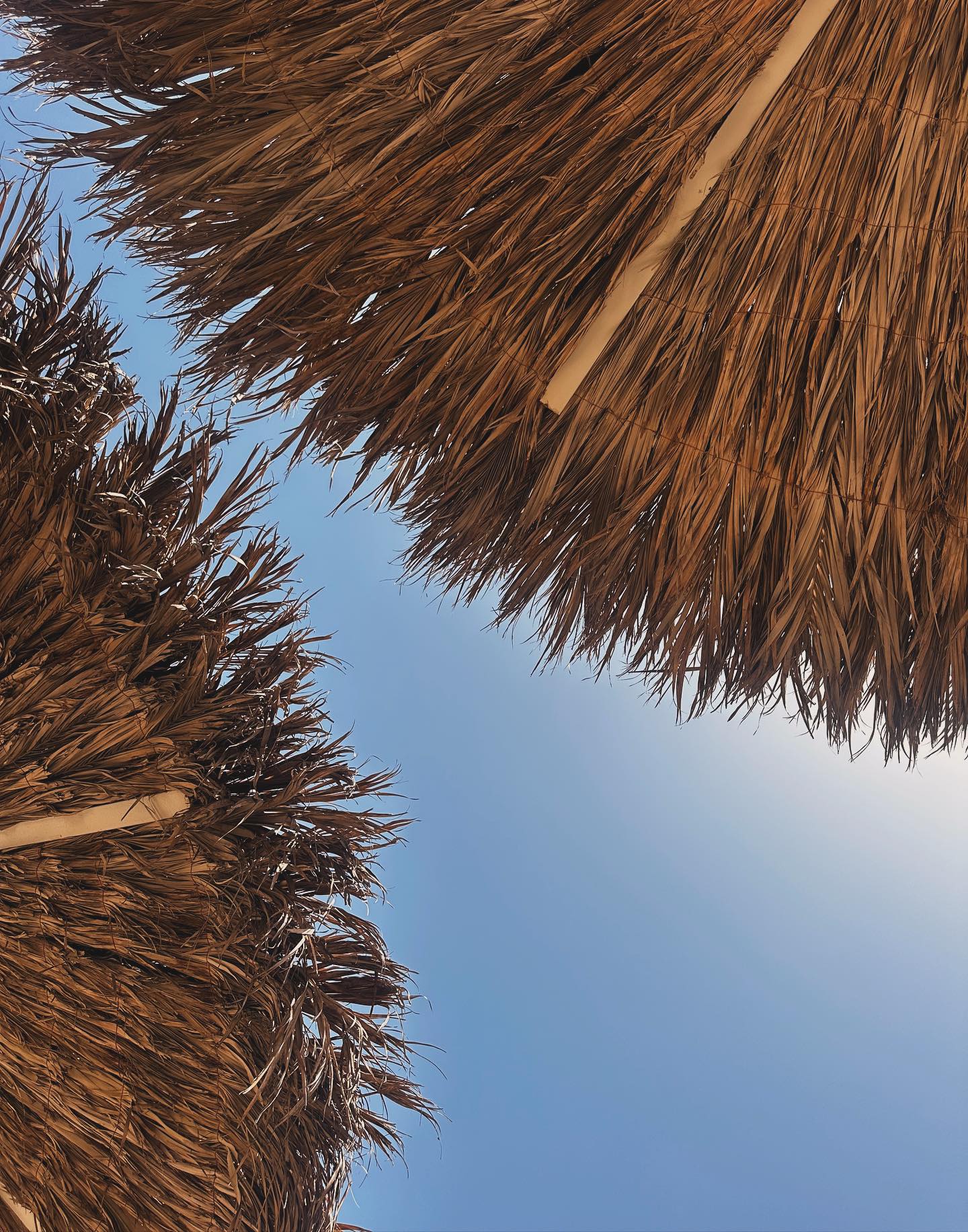 _adidahan instagram image archive image