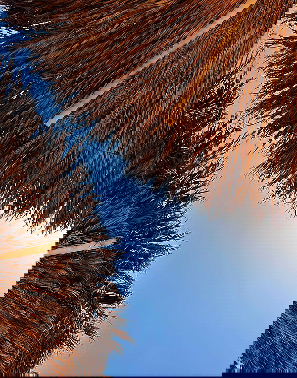 _adidahan image ~ Altpins