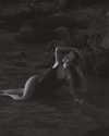 _anastasiaxxq_ Altpins Profile Picture