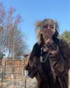 _animechika_ Altpins Profile Picture