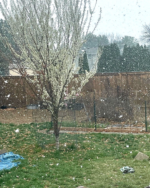 _animechika_ instagram image archive image