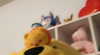 _animechika_ Altpins Profile Picture