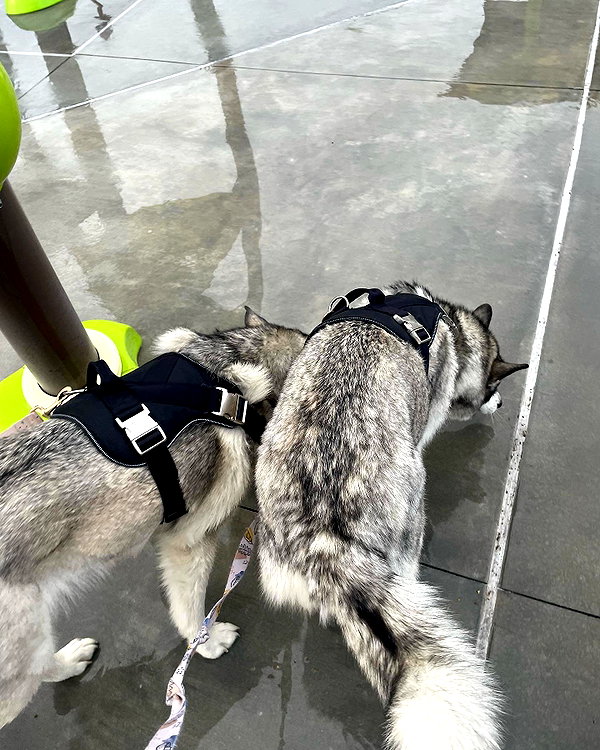 _animechika_ instagram image archive image
