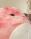 _animechika_ Altpins Profile Picture