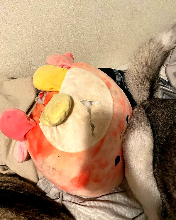 _animechika_ instagram image archive image