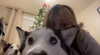 _animechika_ Altpins Profile Picture