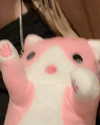 _animechika_ Altpins Profile Picture