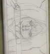 _animechika_ Altpins Profile Picture