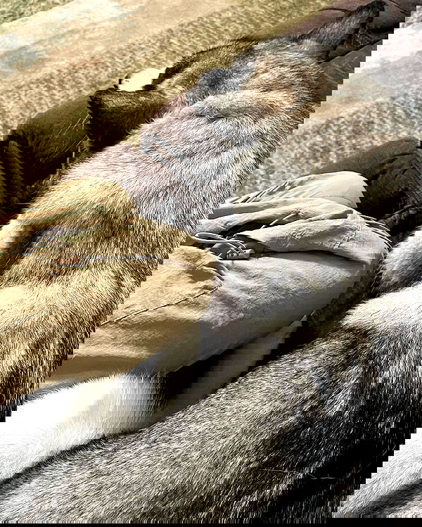 _animechika_ _animechika_ archive image