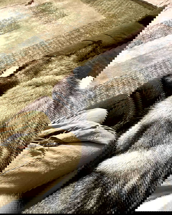 _animechika_ _animechika_ archive image