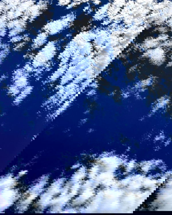 _animechika_ _animechika_ archive image