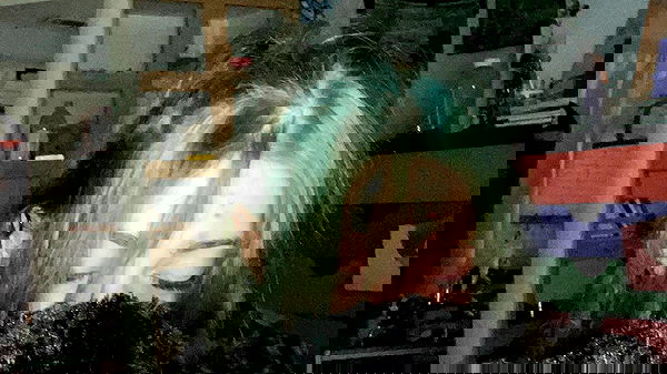 _animechika_ _animechika_ archive image