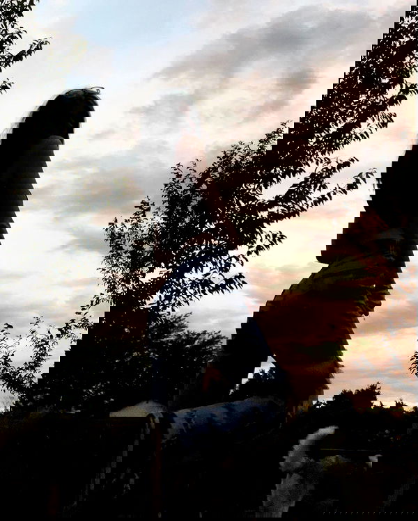 _animechika_ _animechika_ archive image