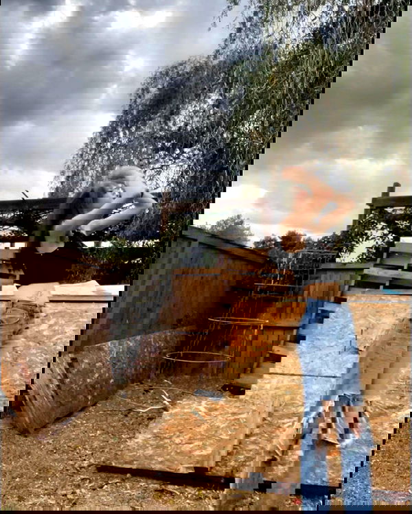 _animechika_ _animechika_ archive image