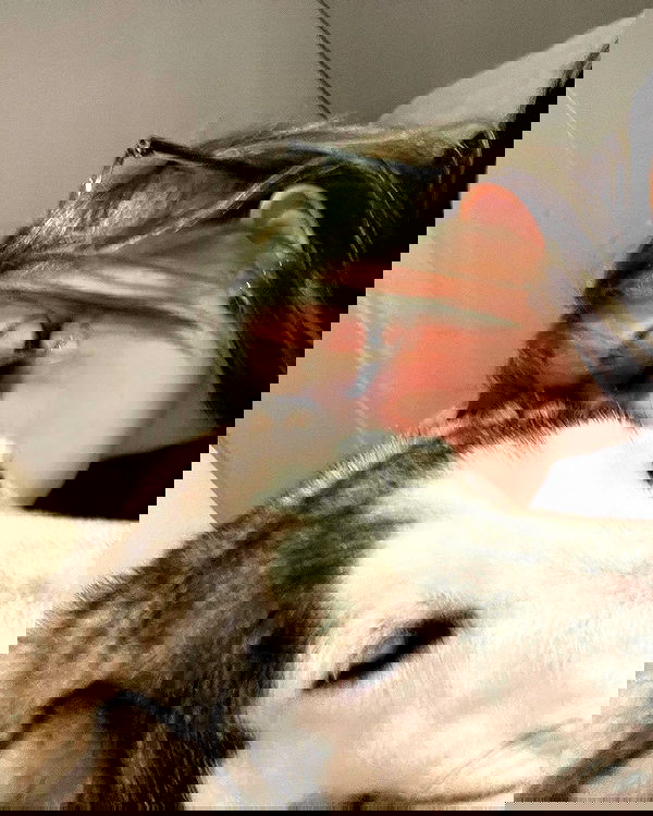 _animechika_ _animechika_ archive image