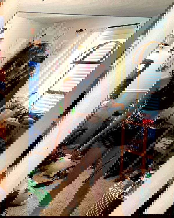 _animechika_ _animechika_ archive image