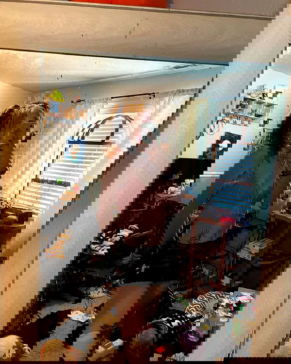 _animechika_ _animechika_ archive image